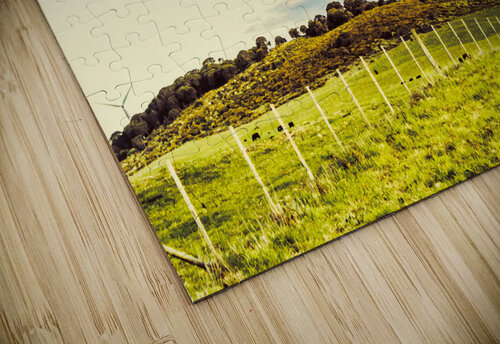 Green Tasmania Jorgo puzzle