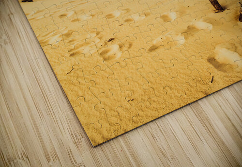 Tasmanian desert tree landscape Jorgo puzzle