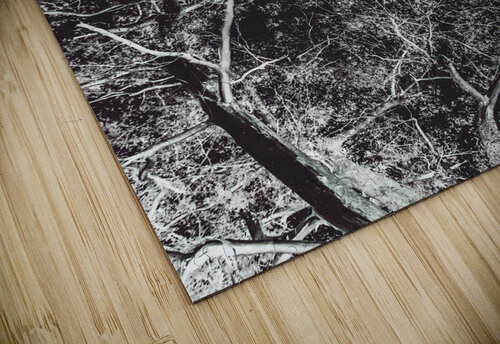 Woodland heights Jorgo puzzle