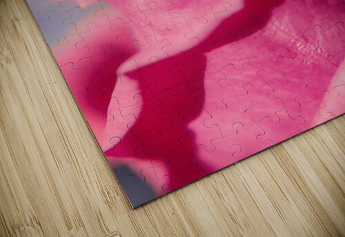 Rosy romantics Jorgo puzzle