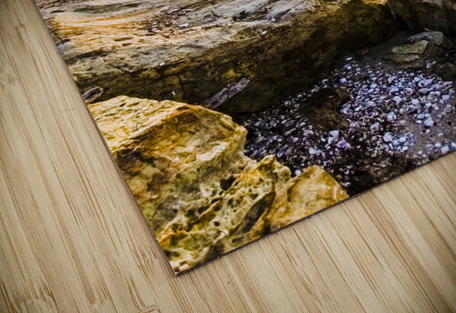 Beautiful beach sunsets Jorgo puzzle