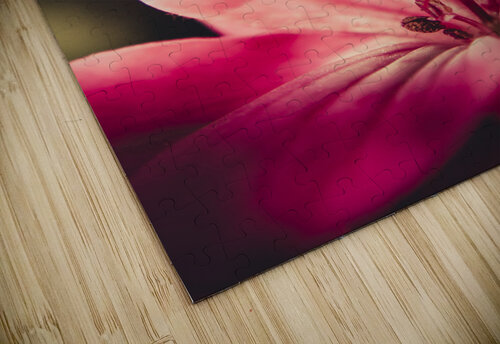 Retro flower Jorgo puzzle