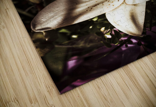 Floristry of closure Jorgo puzzle