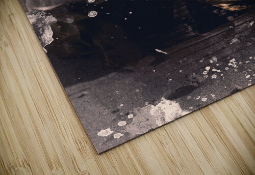 Yellow rose pier Jorgo puzzle