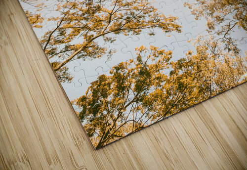 Falling In Jorgo puzzle