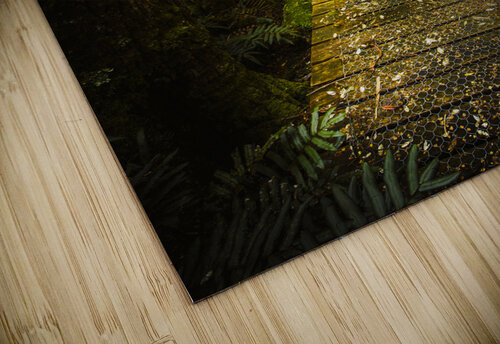 Lush Green Rainforest Walk Jorgo puzzle