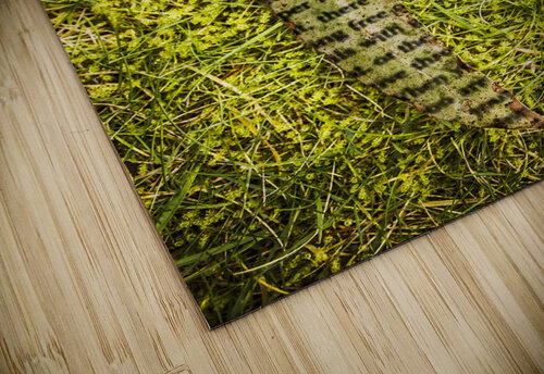 Wisdom in nature Jorgo puzzle