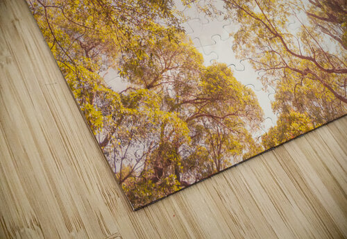 Beyond the pines Jorgo puzzle