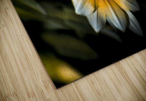 Dark Daisy Flower Jorgo puzzle