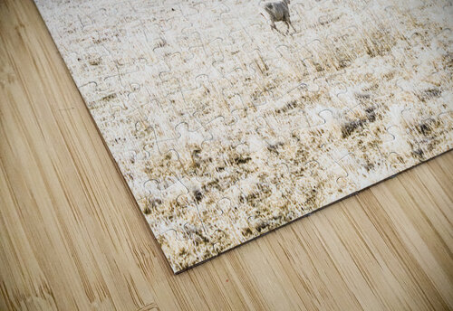 Fingal winter farmyard Jorgo puzzle