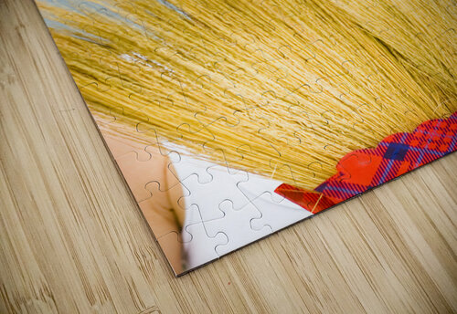 Housewife Jorgo puzzle