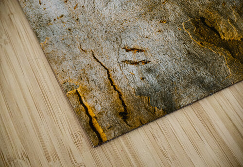 From the woodland Jorgo puzzle