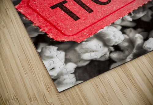 Event ticket lying on pile of popcorn Jorgo puzzle