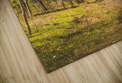 Lush country adventures Jorgo puzzle