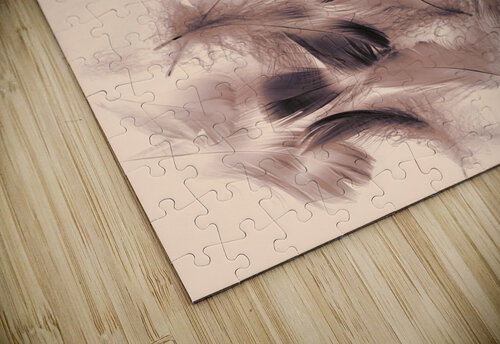 Continuity Jorgo puzzle