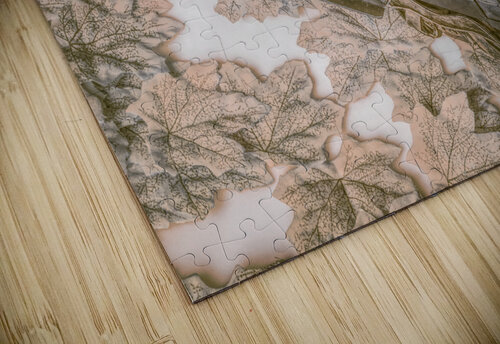 Autumns coarse Jorgo puzzle