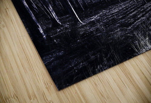 Night thicket  Jorgo puzzle