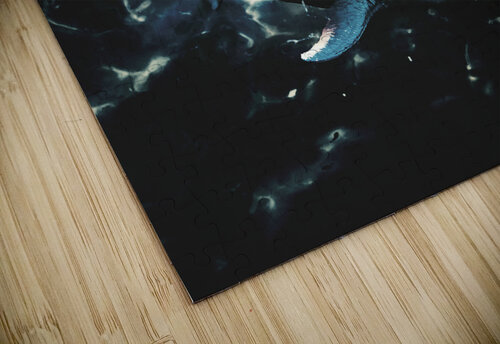 In tension seas Jorgo puzzle