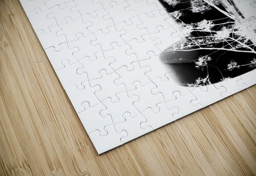 To plant a seed Jorgo puzzle