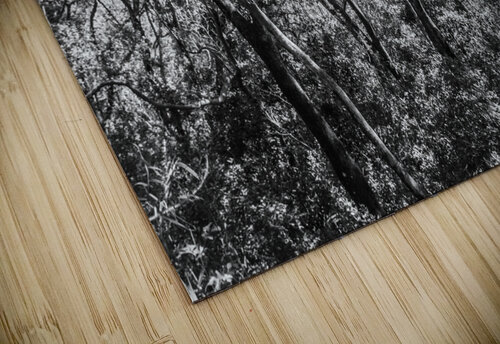 Wild grey Jorgo puzzle