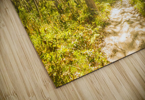 Wondersome Jorgo puzzle