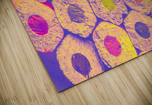 Pencil honeycomb Jorgo puzzle