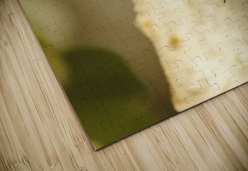 Wooded wildlife Jorgo puzzle