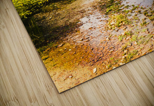 Scenic roads less travelled Jorgo puzzle