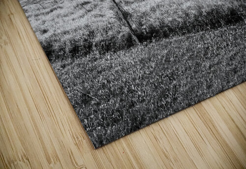 Dahmongah Lookout Mount Mee Jorgo puzzle