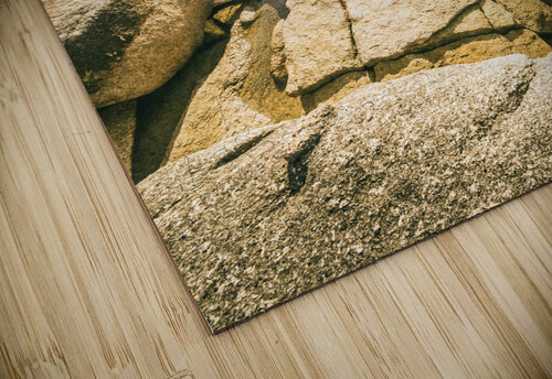 Bicheno foreshore Jorgo puzzle