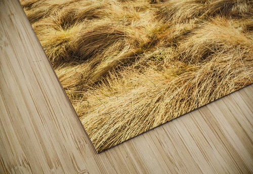 Peaceful country plains Jorgo puzzle