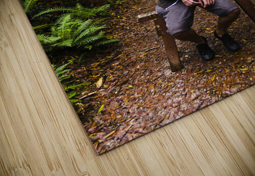 Travel man laughing in Tasmania rainforest Jorgo puzzle