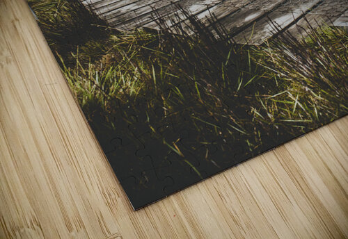 Hiking trail leading to distant Australia bushland Jorgo puzzle