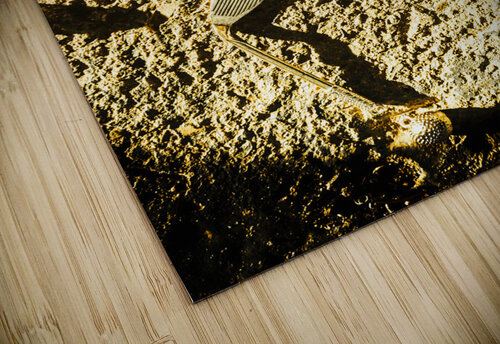 Golf and the bunker battle Jorgo puzzle