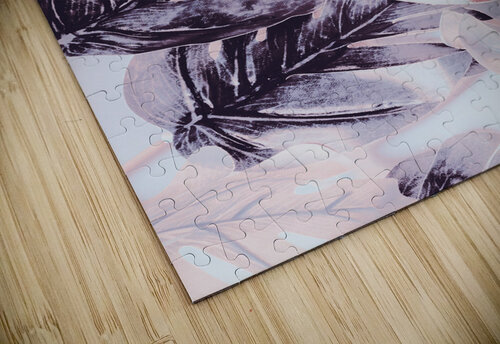 Bear Exotics Jorgo puzzle