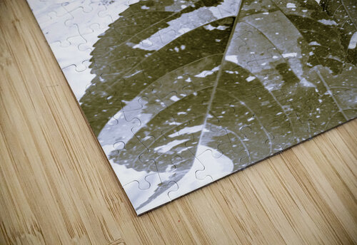 Spectral  Jorgo puzzle