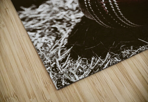 Vintage cricket Jorgo puzzle