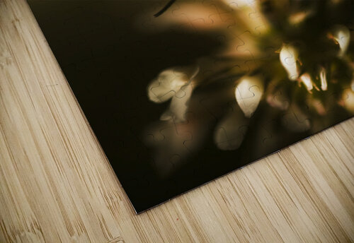 Fauna And Flora Meet Jorgo puzzle