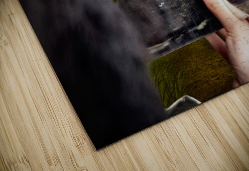 Mysterious jester found wonderland in a reflection Jorgo puzzle