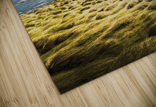 Windy meadows Jorgo puzzle