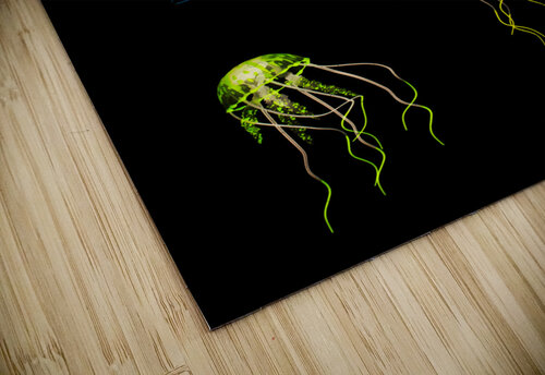 In colours of swirling jellyfishes  Jorgo puzzle