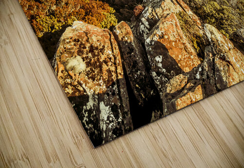 An alpine morning Jorgo puzzle