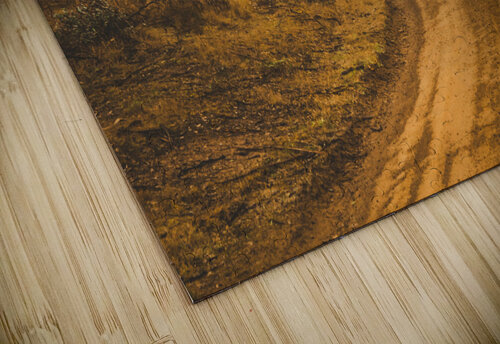 Mysterious autumn trail Jorgo puzzle