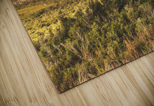 Western wilds Jorgo puzzle