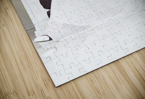 Beautiful Sexy Girl In High Fashion Jorgo puzzle