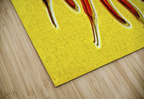 Hotlucination  Jorgo puzzle