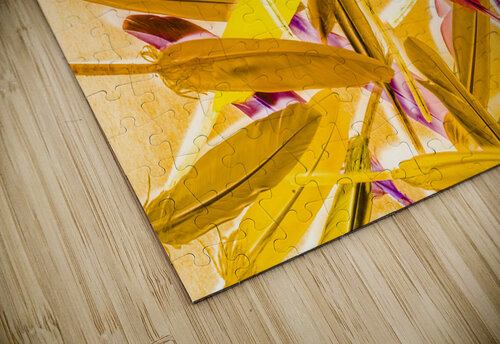 Palletry Plumes Jorgo puzzle