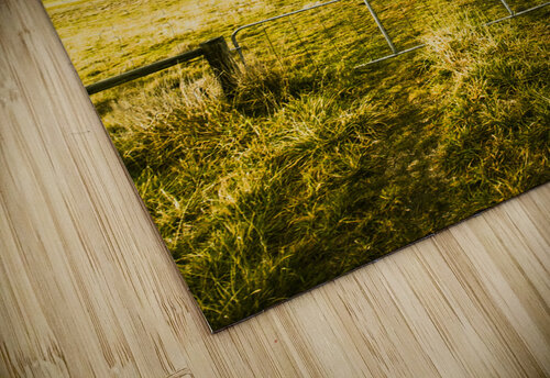 Storm covered winter farmland Jorgo puzzle