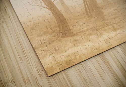 Misty woods Jorgo puzzle
