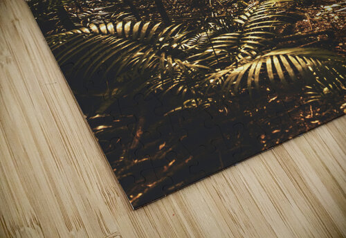 Mary Cairncross Scenic Reserve Jorgo puzzle